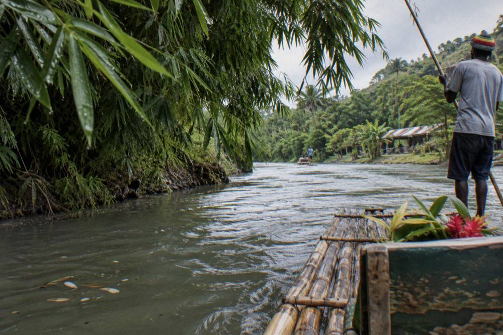 A bamboo raft floating between overhanging trees on a slow green tropical river