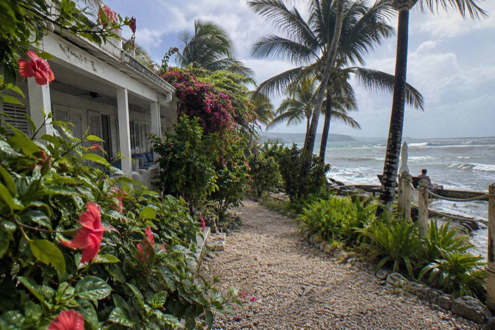 A garden courtyard with palms and a walkway at a coastal resort in Jamaica